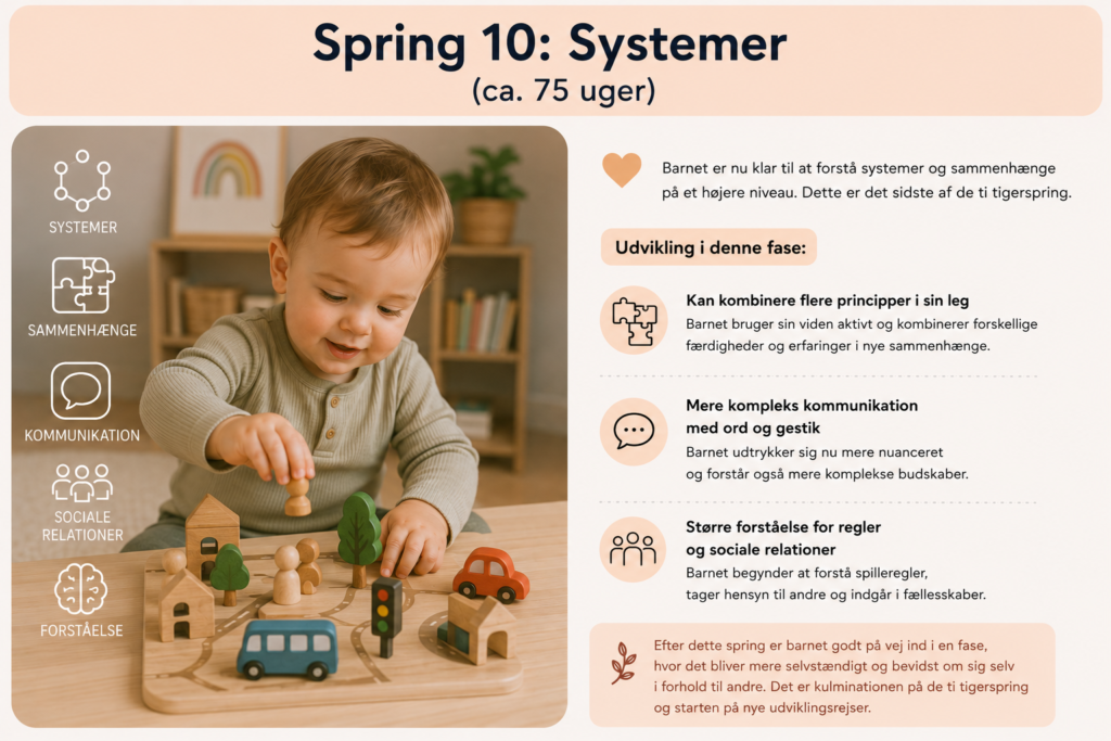 Tigerspring 10: Systemer