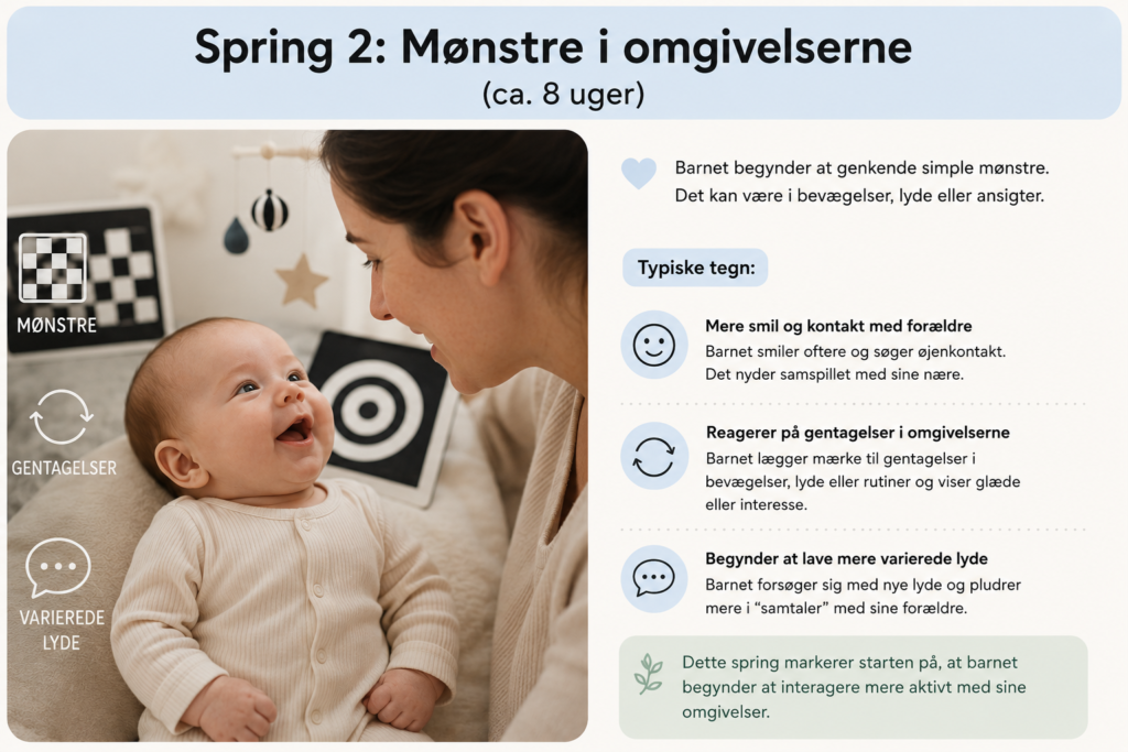 tigerspring 2: Mønstre i omgivelserne