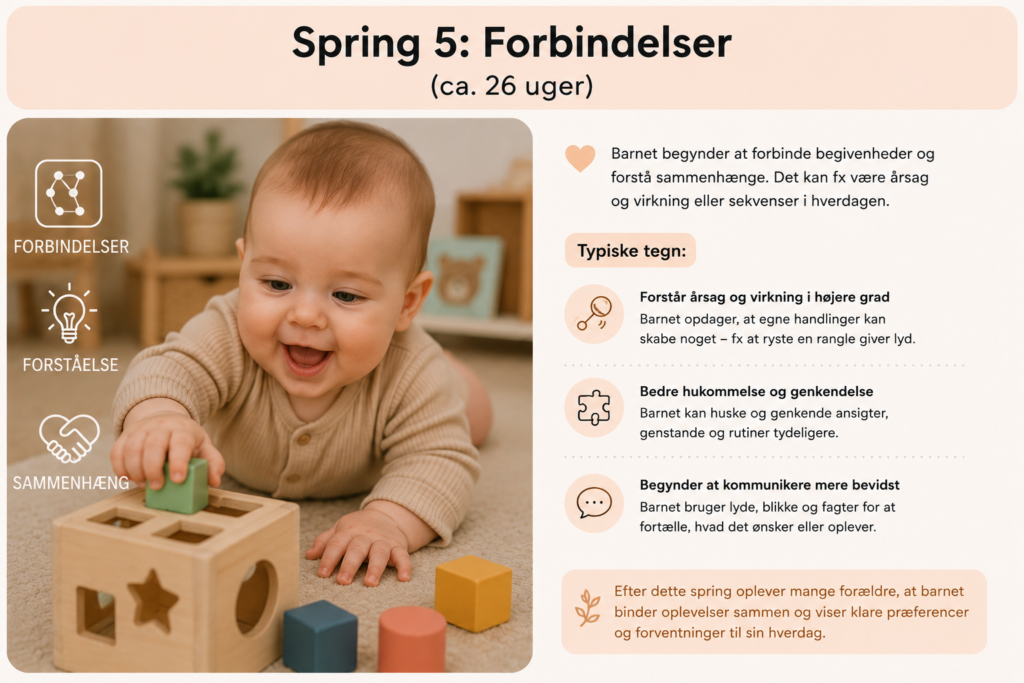Tigerspring 5: Forbindelser