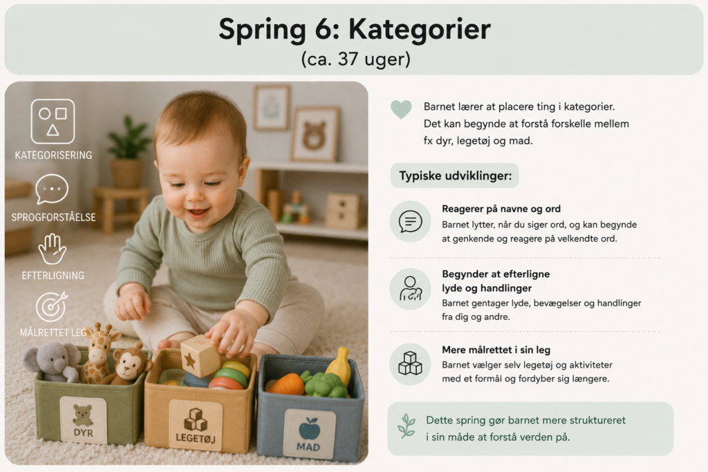 Tigerspring 6: Kategorier