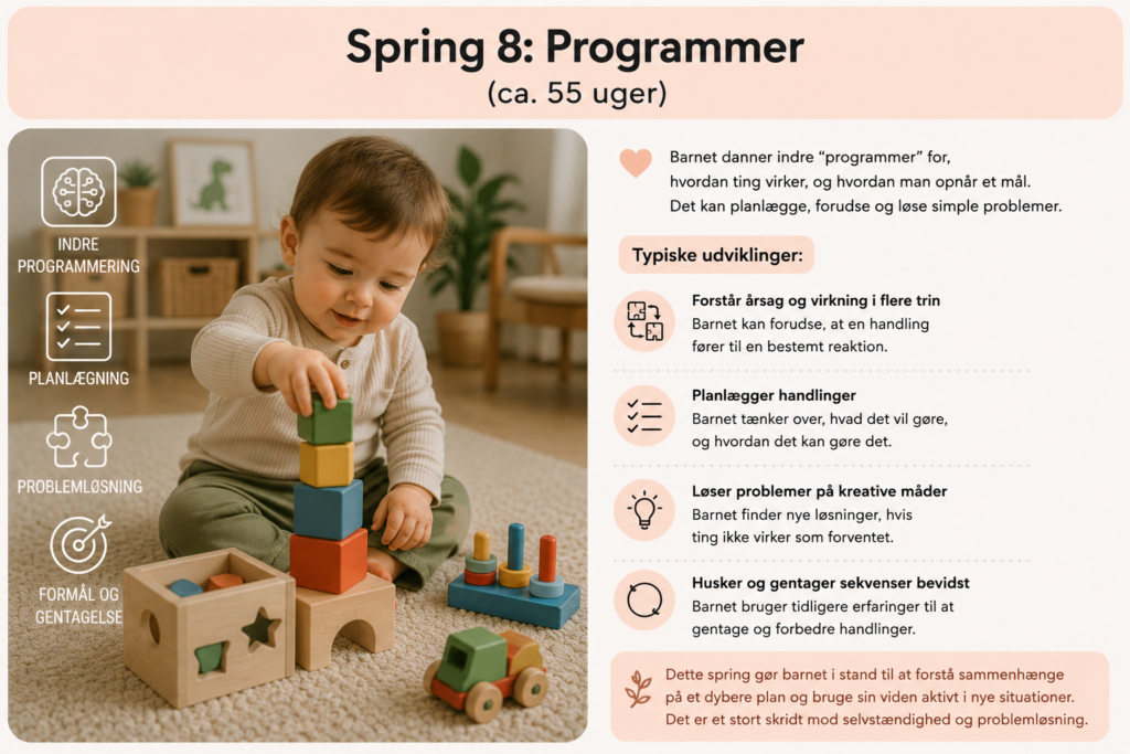 Tigerspring 8: Programmer