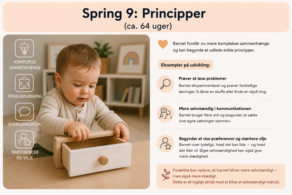 Tigerspring 9: Principper