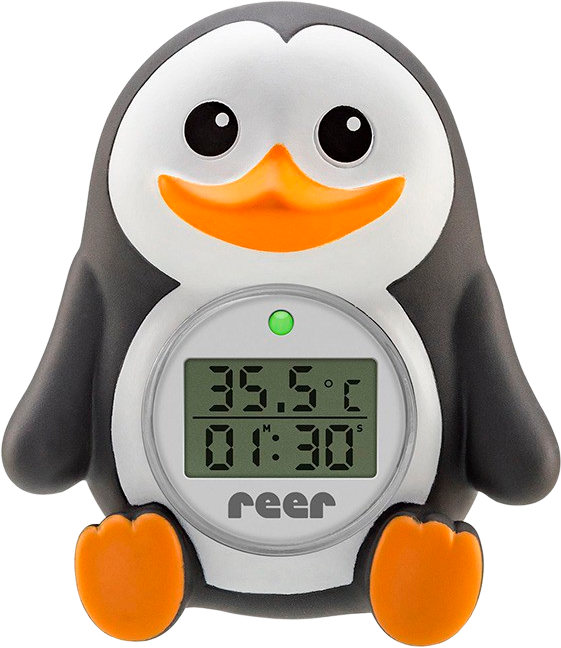 bedste badetermometer til baby børn rumtermometer